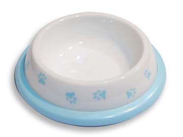 dog bowl