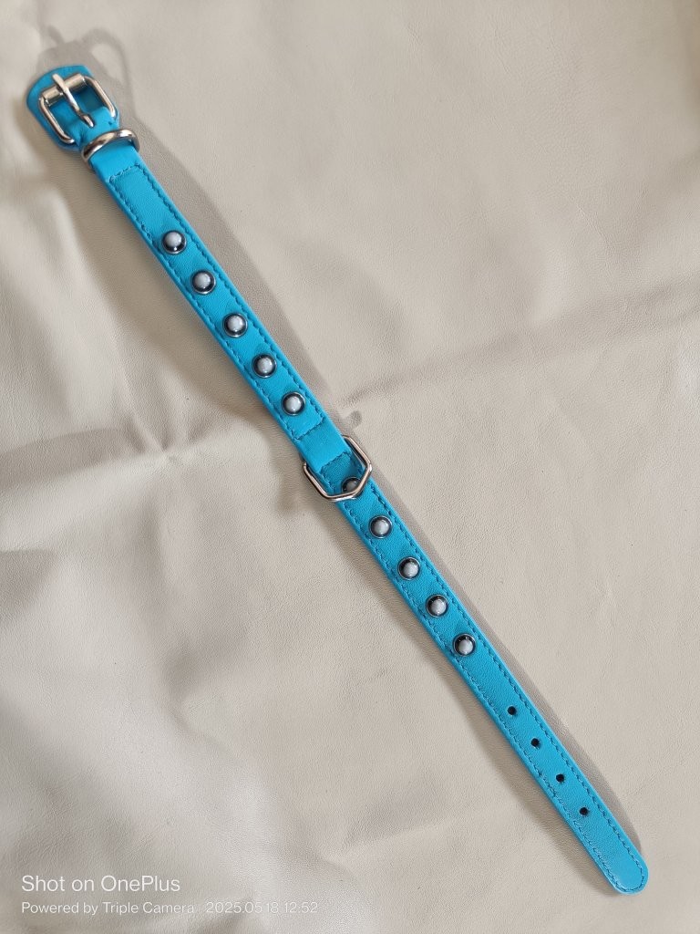 Looking for Sales Agent of Leather Dog Collars + Saddlery Goods